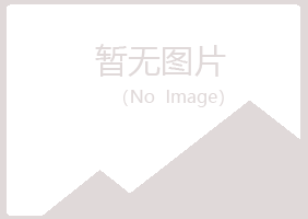 河池夏青采矿有限公司